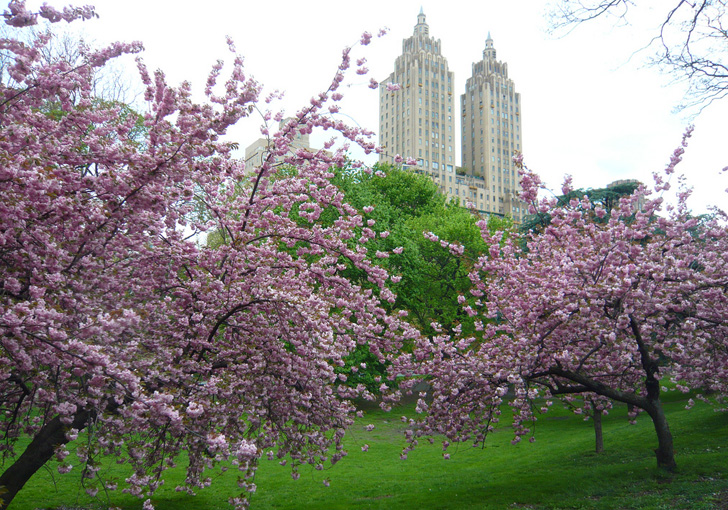 20 Best Picnic Spots In NYC And What To Eat Once You’re There